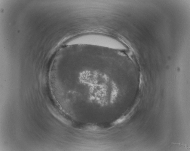 X0000081490203200701262102