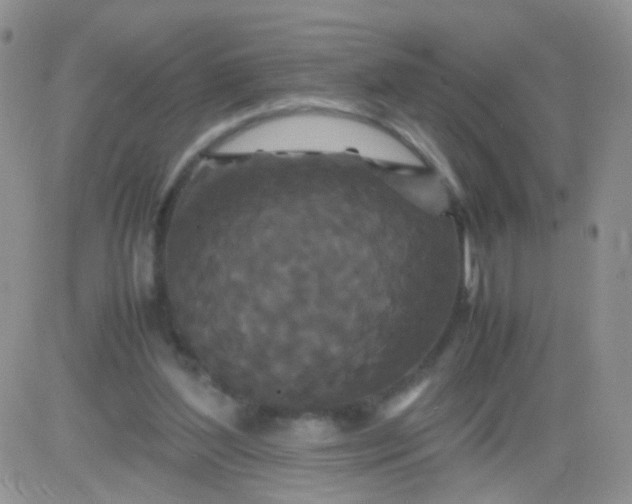 X0000081490204200701262102