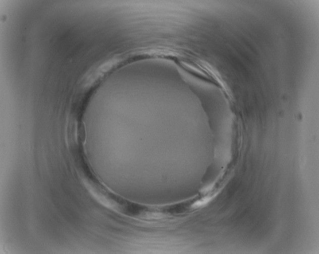 X0000081490205200701262102