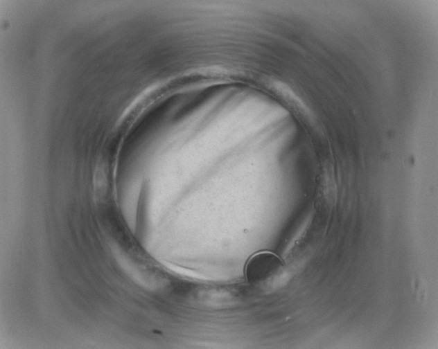 X0000081490208200701262102