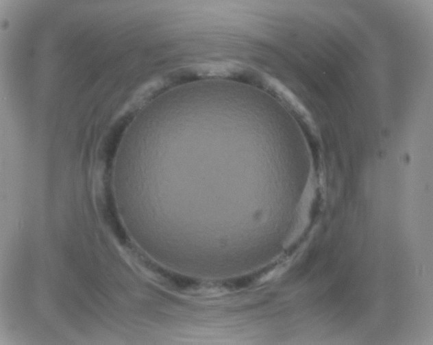 X0000081490209200701262102