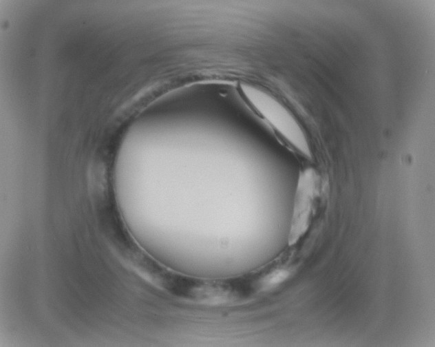 X0000081490211200701262102