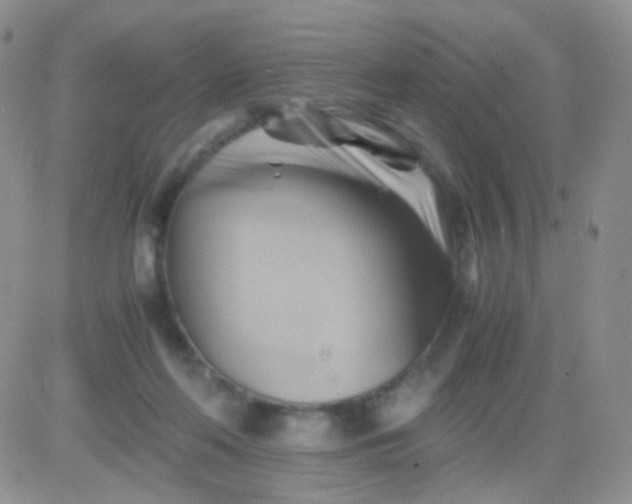 X0000081490214200701262102