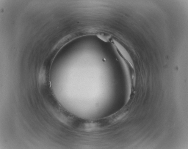 X0000081490216200701262102