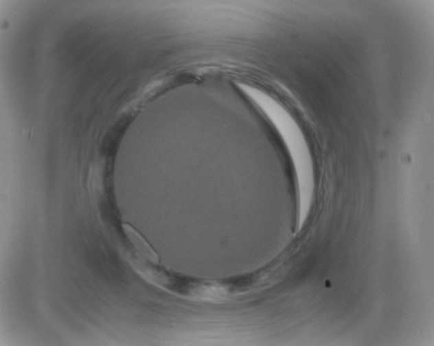 X0000081490217200701262102