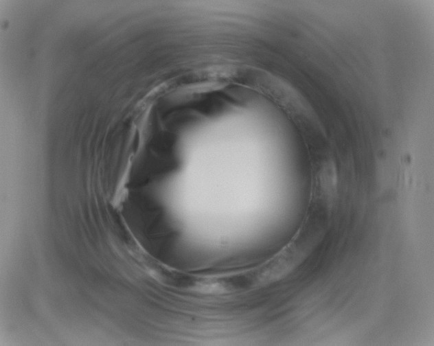 X0000081490218200701262102