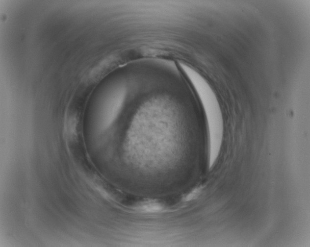 X0000081490219200701262102