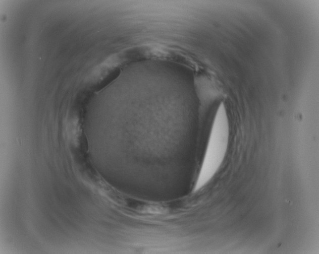 X0000081490223200701262102