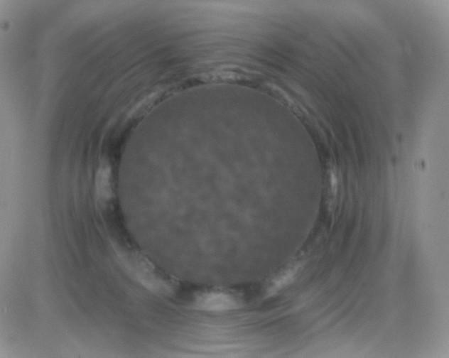 X0000081490224200701262102