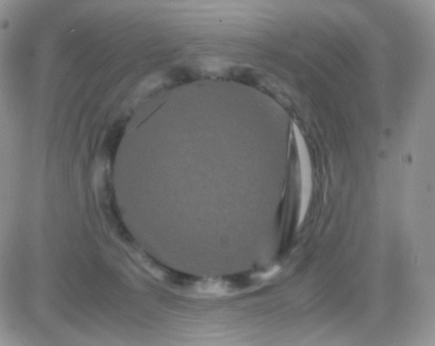 X0000081490225200701262102