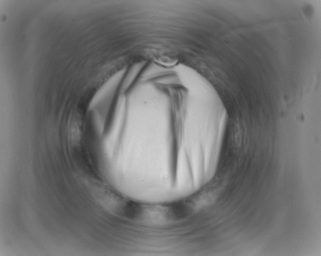 X0000081490226200701262102