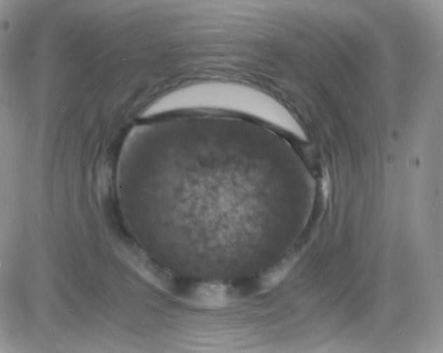 X0000081490227200701262102