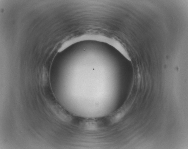 X0000081490228200701262102