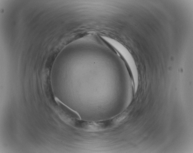 X0000081490229200701262102