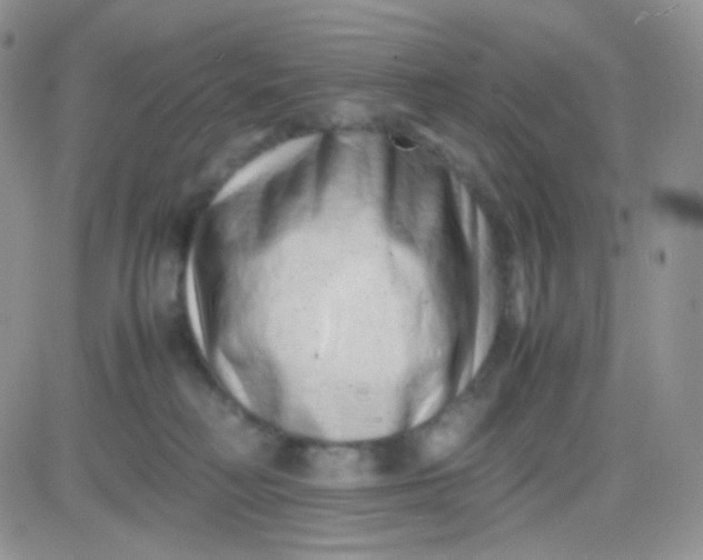 X0000081490230200701262102