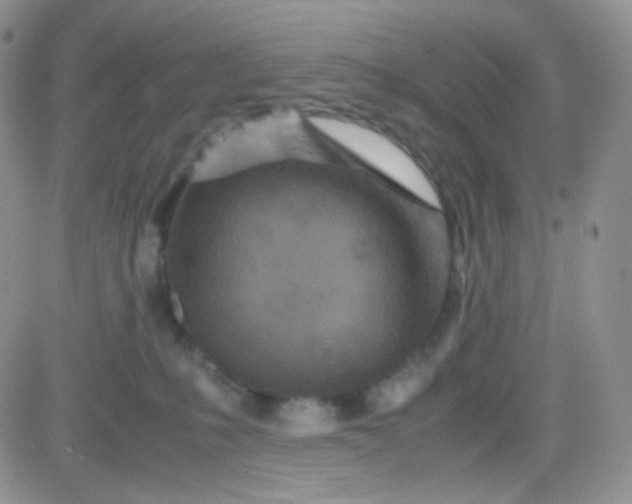 X0000081490231200701262101