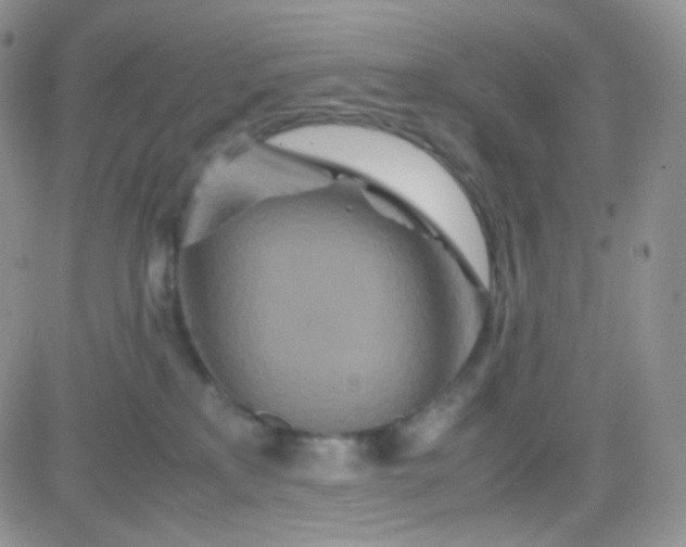 X0000081490233200701262101