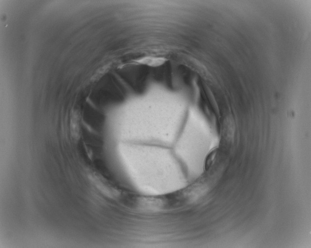 X0000081490234200701262101