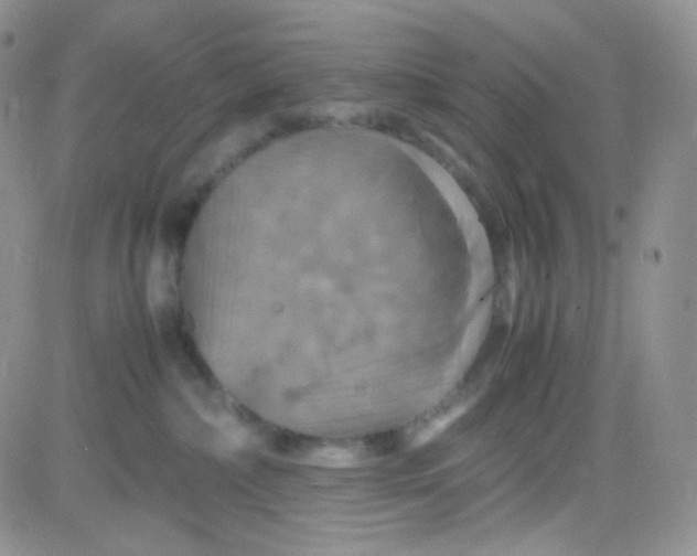 X0000081490236200701262101