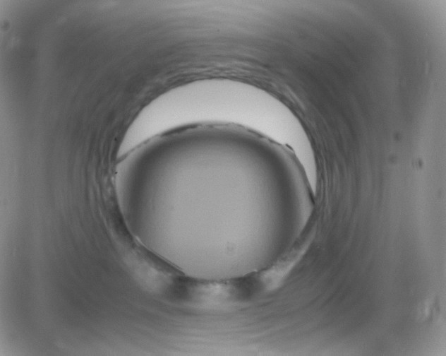 X0000081490237200701262101