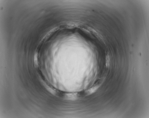 X0000081490238200701262101