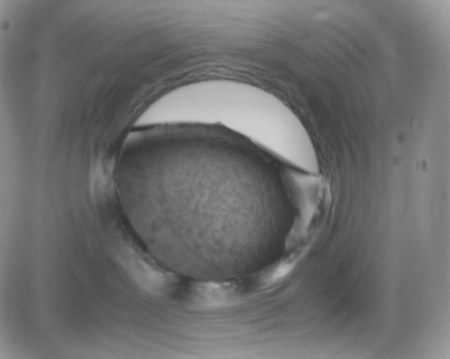 X0000081490239200701262101