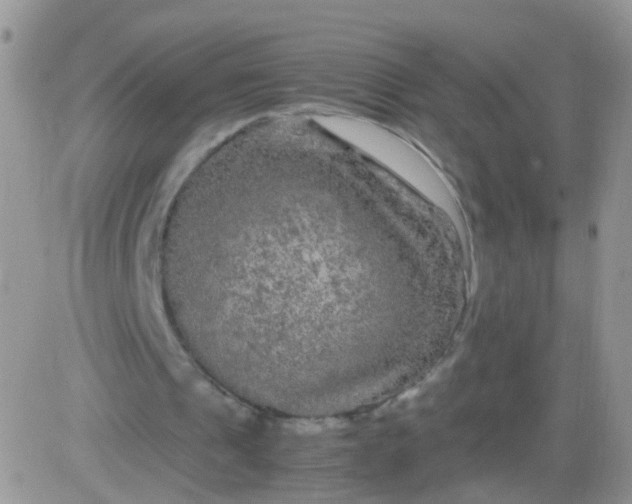 X0000081490241200701262101