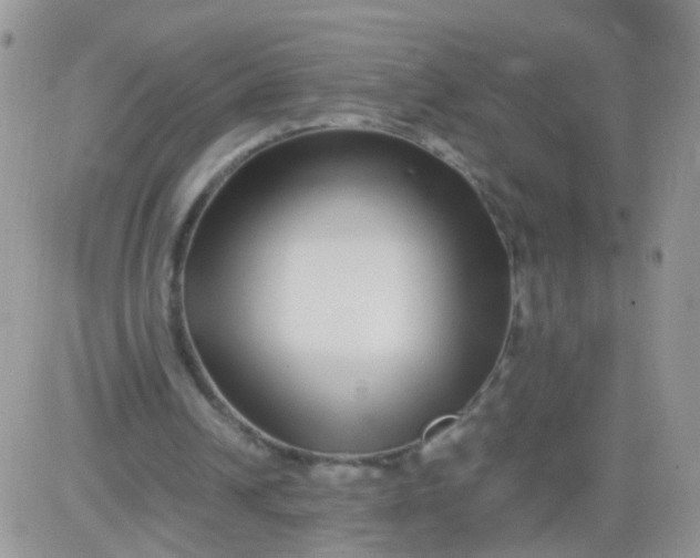 X0000081490242200701262101