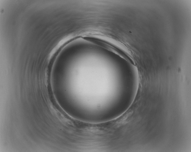 X0000081490244200701262101