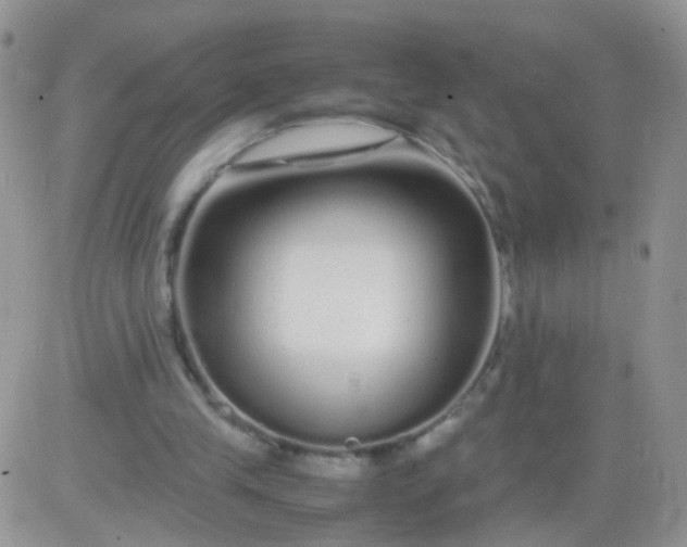 X0000081490245200701262101