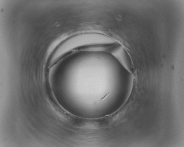 X0000081490248200701262101