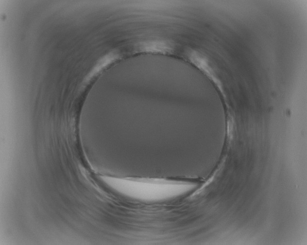 X0000081490249200701262101