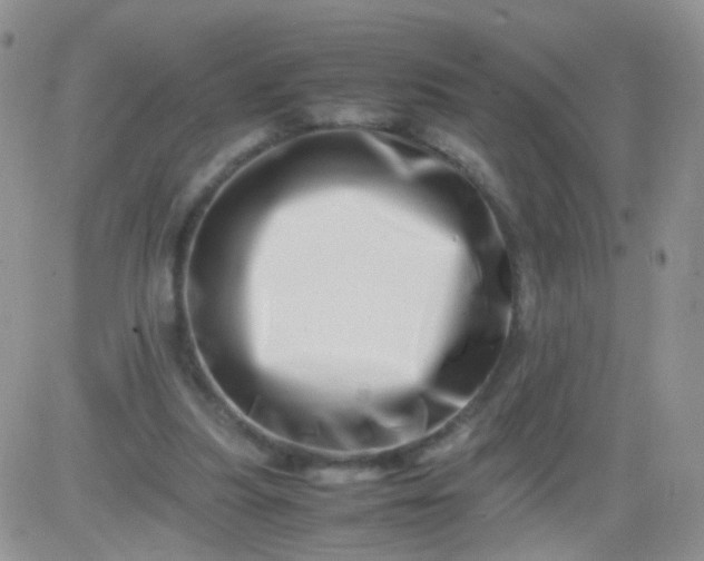 X0000081490251200701262101