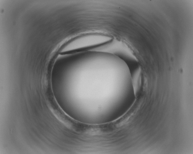 X0000081490252200701262101