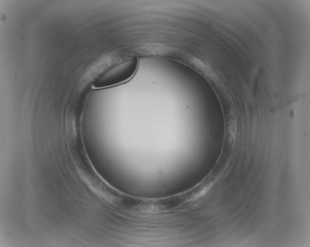 X0000081490254200701262101