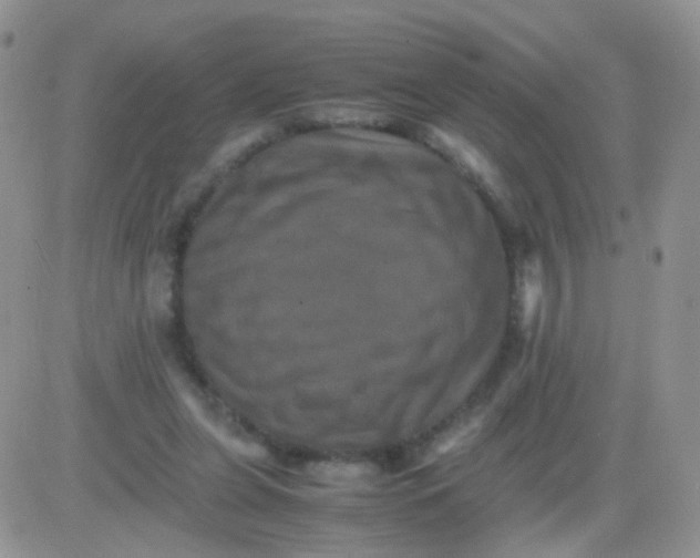 X0000081490255200701262101