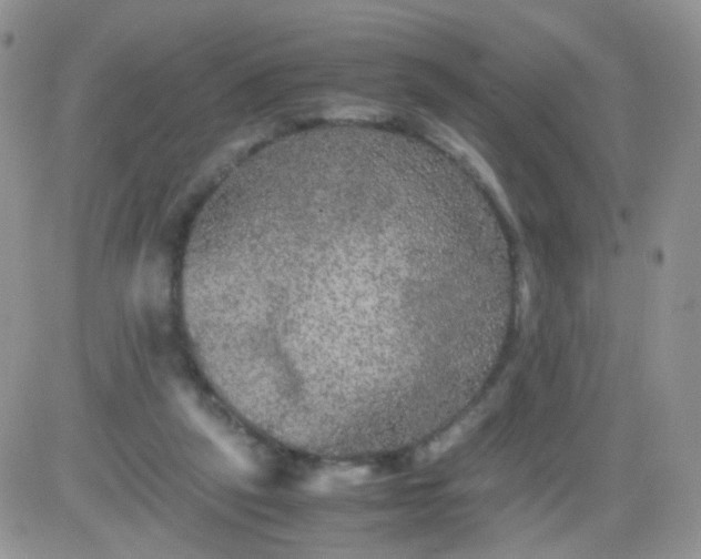 X0000081490257200701262101