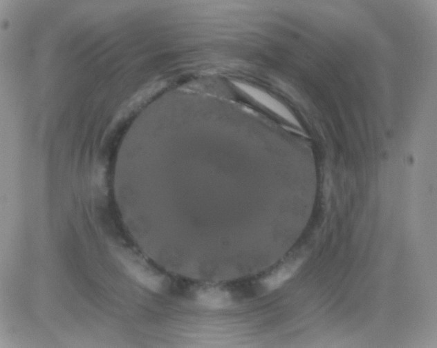 X0000081490258200701262101