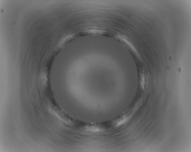 X0000081490259200701262101