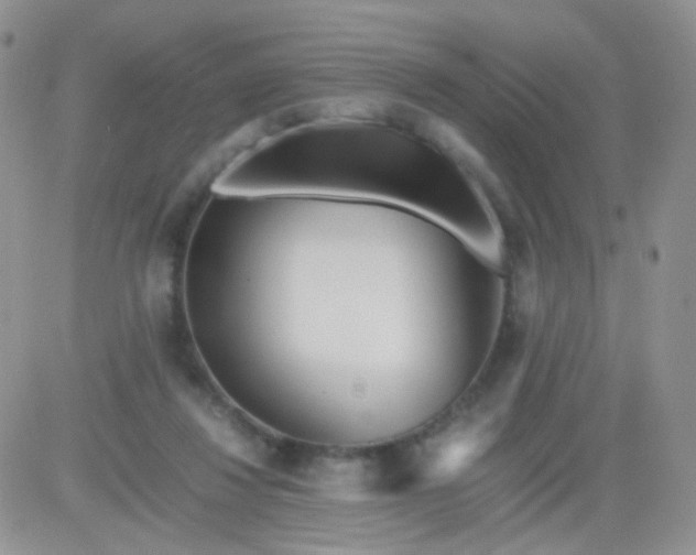 X0000081490260200701262101