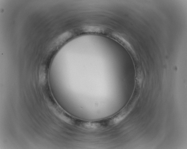 X0000081490261200701262101