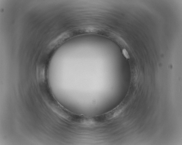 X0000081490262200701262101