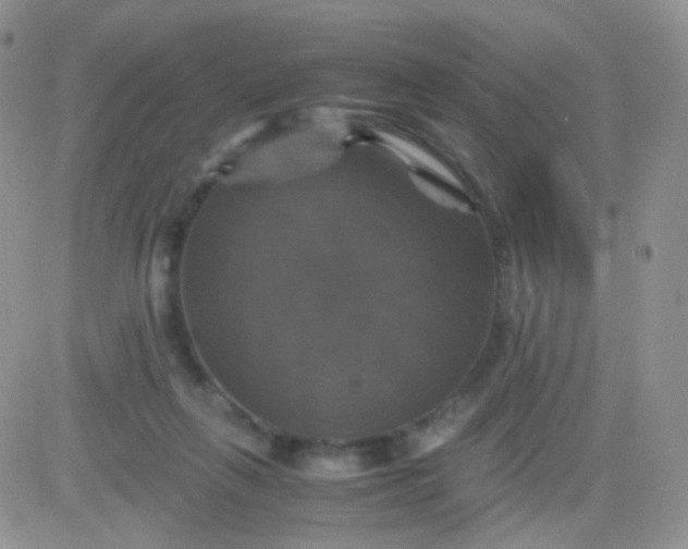 X0000081490263200701262101