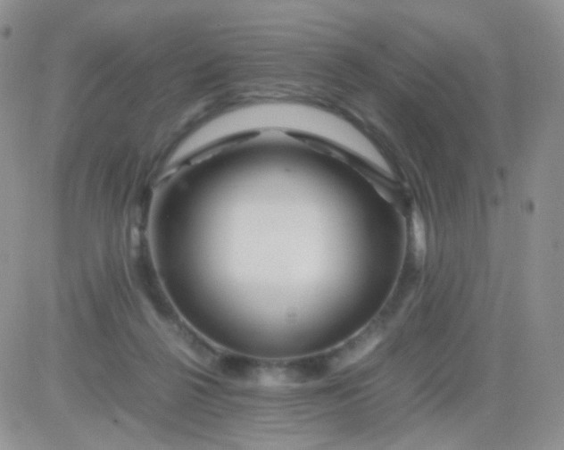 X0000081490264200701262101