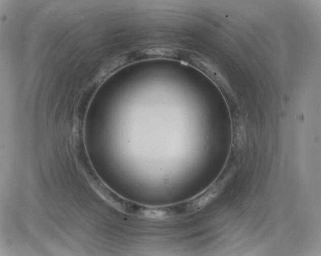 X0000081490265200701262101