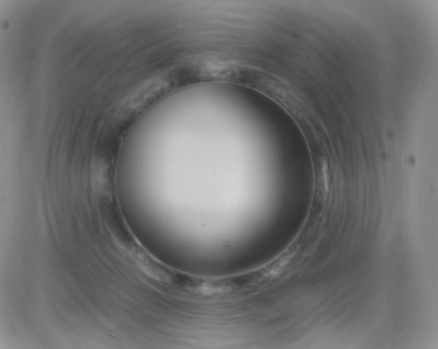 X0000081490270200701262101