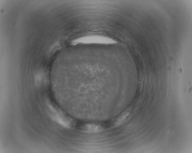 X0000081490272200701262101