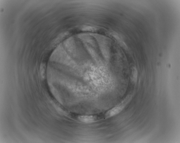 X0000081490273200701262101