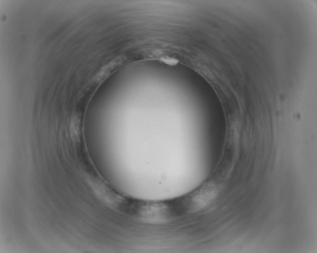 X0000081490274200701262101