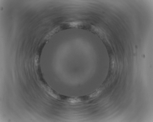 X0000081490275200701262101